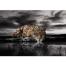 Ein Leopard, Panther und Gepard, dynamisch gerendert auf dieser lebensechten Fototapete mit lebendigen Details.