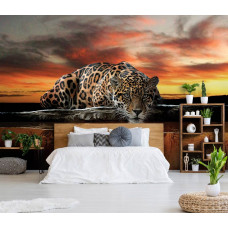 Eine Fototapete mit einem Leopard und Panther in Jagdposition sowie einem Gepard und Jaguar für das Schlafzimmer.