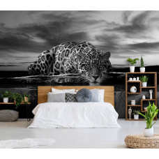Eine Schwarz-Weiß-Fototapete mit Leopard und Panther in Jagdstellung mit Gepard und Jaguar für das Schlafzimmer.