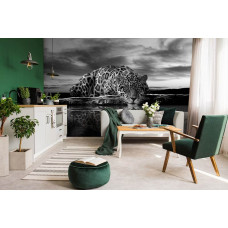 Eine Schwarz-Weiß-Fototapete mit Leopard und Panther in Jagdstellung mit Gepard und Jaguar für das Wohnzimmer.