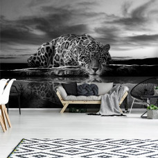 Eine Schwarz-Weiß-Fototapete mit Leopard und Panther in Jagdstellung mit Gepard und Jaguar für das Wohnzimmer.