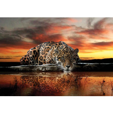 Fototapete mit Leopard, Gepard und Cheetah für einen abenteuerlichen Effekt.