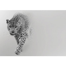 Fototapete mit einem Leoparden, mit naturgetreuen Farben und detaillierter Fellwiedergabe.