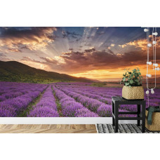 Eine Fototapete mit einem malerischen Lavendelfeld bei Sonnenuntergang, dargestellt in einem Wohnzimmer.