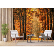 Ein Fototapet von einem magischen Pfad durch den Herbstwald in einem Büro.