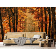 Ein Fototapet von einem magischen Pfad durch den Herbstwald in einem Wohnzimmer.