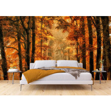 Ein Fototapet von einem magischen Pfad durch den Herbstwald in einem Schlafzimmer.
