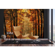Ein Fototapet von einem magischen Pfad durch den Herbstwald in einem Wohnzimmer mit Vliesbehang.