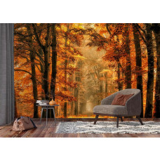 Ein Fototapet von einem magischen Pfad durch den Herbstwald in einem Wohnzimmer mit Vliesbehang.