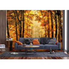 Ein Fototapet von einem magischen Pfad durch den Herbstwald in einem Wohnzimmer.