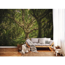 Eine Fototapete mit einem magischen Baum in einer Waldlandschaft, die im Wohnzimmer zu sehen ist.