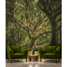 Eine Fototapete mit einem magischen Baum in einer Waldlandschaft, die im Büro zu sehen ist.