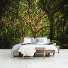 Eine Fototapete mit einem magischen Baum in einer Waldlandschaft, die im Schlafzimmer zu sehen ist.