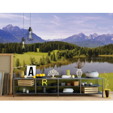 Eine Fototapete von einem See in den Bergen mit Wald und Bäumen auf dem Display in einem Büro.