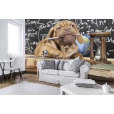Eine Fototapete mit Meisterhund als Schullehrer für das Wohnzimmer.