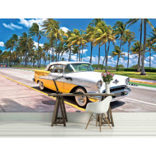 Ein Büro mit einem Oldtimer in Miami, umgeben von hohen Palmen.