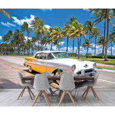 Die Fototapete Miami Vibes in der Küche zeigt eine sonnige Atmosphäre mit Palmen und einem Auto.