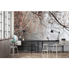 Fotobehang fijne boomtakken tegen lichte achtergrond in een kantoor, stijlvol en professioneel.