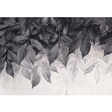 Fotobehang met minimalistische botanische bladeren in zwart-wit op een lichte achtergrond.