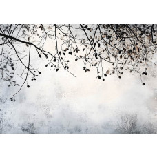 Fotobehang met minimalistische takken in fijne lijnen en zachte natuurlijke tinten op een grijze achtergrond.