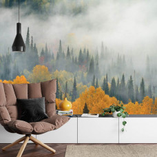 Eine Fototapete mit einer nebligen Waldlandschaft in Herbstfarben, abgebildet in einem Wohnzimmer.