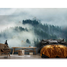 Eine Fototapete mit einem geheimnisvollen Wald im Nebel, geeignet sowohl für ein Wohnzimmer als auch für ein Schlafzimmer.
