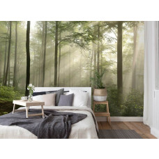 Fototapete mit einem morgendlichen Wald mit Sonnenstrahlen und Nebel, angebracht in einem stimmungsvollen Schlafzimmer.