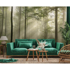 Fototapete mit nebligem Wald und Sonnenstrahlen, angebracht in einem modernen Wohnzimmer.
