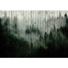 Fototapete eines nebligen Waldes auf Holzbrettern mit Bäumen auf einem Holzbrett-Hintergrund.