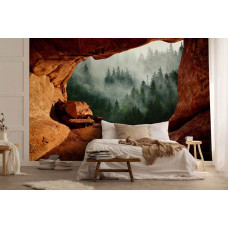 Fototapete Nebelwald aus einer Höhle im mysteriösen Wohnzimmer.
