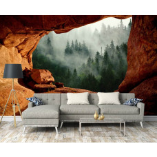 Fototapete Nebelwald aus einer Höhle im rustikalen Wohnzimmer.