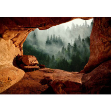 Fototapete Nebelwald aus einer Höhle im mysteriösen Wohnzimmer.