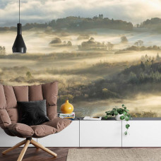 Eine Fototapete mit einer ruhigen Waldlandschaft mit nebligen Tönen, perfekt für ein Wohnzimmer.