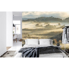 Eine Fototapete mit einer mystischen Darstellung eines nebligen Waldes in sanften Tönen, perfekt für ein Schlafzimmer.