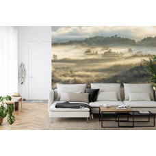 Eine Fototapete mit einer stimmungsvollen Waldumgebung im Nebel, geeignet für ein Wohnzimmer.