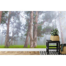 Eine stimmungsvolle Fototapete eines nebligen Waldes voller natürlicher Elemente, ideal für ein Schlafzimmer.