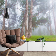 Eine neblige Waldlandschaft mit Bäumen und Natur, eingefangen auf einer Fototapete, perfekt für ein Wohnzimmer.