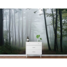 Fotobehang van een ochtendbos met mistig wandelpad in een stijlvol kantoor.