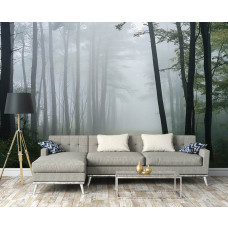 Fotobehang van een mistig bospad in de ochtend aan de muur van een sfeervolle woonkamer.
