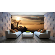 Eine Fototapete mit einer mystischen Waldlandschaft voller Nebel und Bäume.