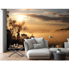 Eine Fototapete mit einer nebligen Waldlandschaft mit Bäumen, platziert in einem Wohnzimmer.