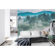Eine Fototapete mit einer ruhigen, nebligen Waldumgebung, ideal für ein Schlafzimmer.