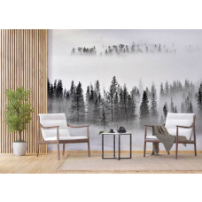 Eine Fototapete eines nebligen Morgens im Wald in einem Wohnzimmer mit Vliestapete.