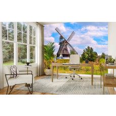 Fototapete Mühle im Frühling im Büro mit inspirierender und frischer Umgebung.