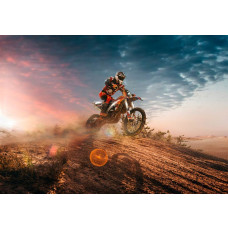 Fototapete mit Motocross und einem Motocross-Fahrer in der Wüste, dynamisch und abenteuerlich.