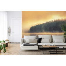 Eine geheimnisvolle Fototapete mit einem Wald am Rande eines nebligen Sees, perfekt für ein Wohnzimmer.