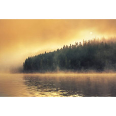 Fototapete mit einem geheimnisvollen Wald am Rande eines Sees, wo dichter Nebel die Landschaft bedeckt.