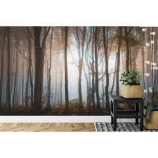 Eine Fototapete mit einer stimmungsvollen Waldlandschaft, in der dicke Baumstämme und Schatten den Ton angeben, ideal für ein Wohnzimmer.