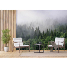 Eine Fototapete eines mysteriösen nebligen Bergwaldes mit Airtex Tapete in einem Wohnzimmer.