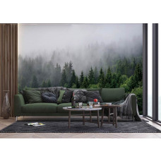 Eine Fototapete eines mysteriösen nebligen Bergwaldes in einem Wohnzimmer.